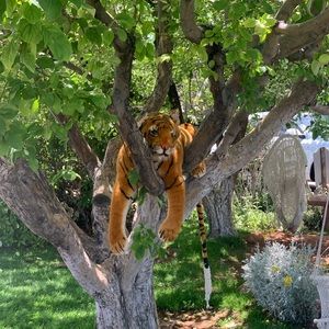 Meet your Posher, Stephen